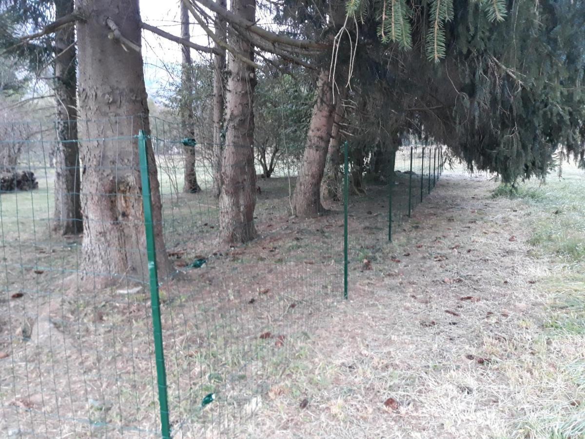 Vebre Chalet Tout Confort Proche D Ax 3 Domaines מראה חיצוני תמונה