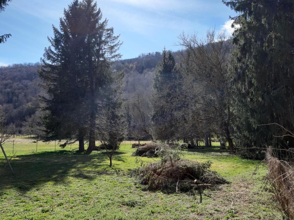 Vebre Chalet Tout Confort Proche D Ax 3 Domaines מראה חיצוני תמונה