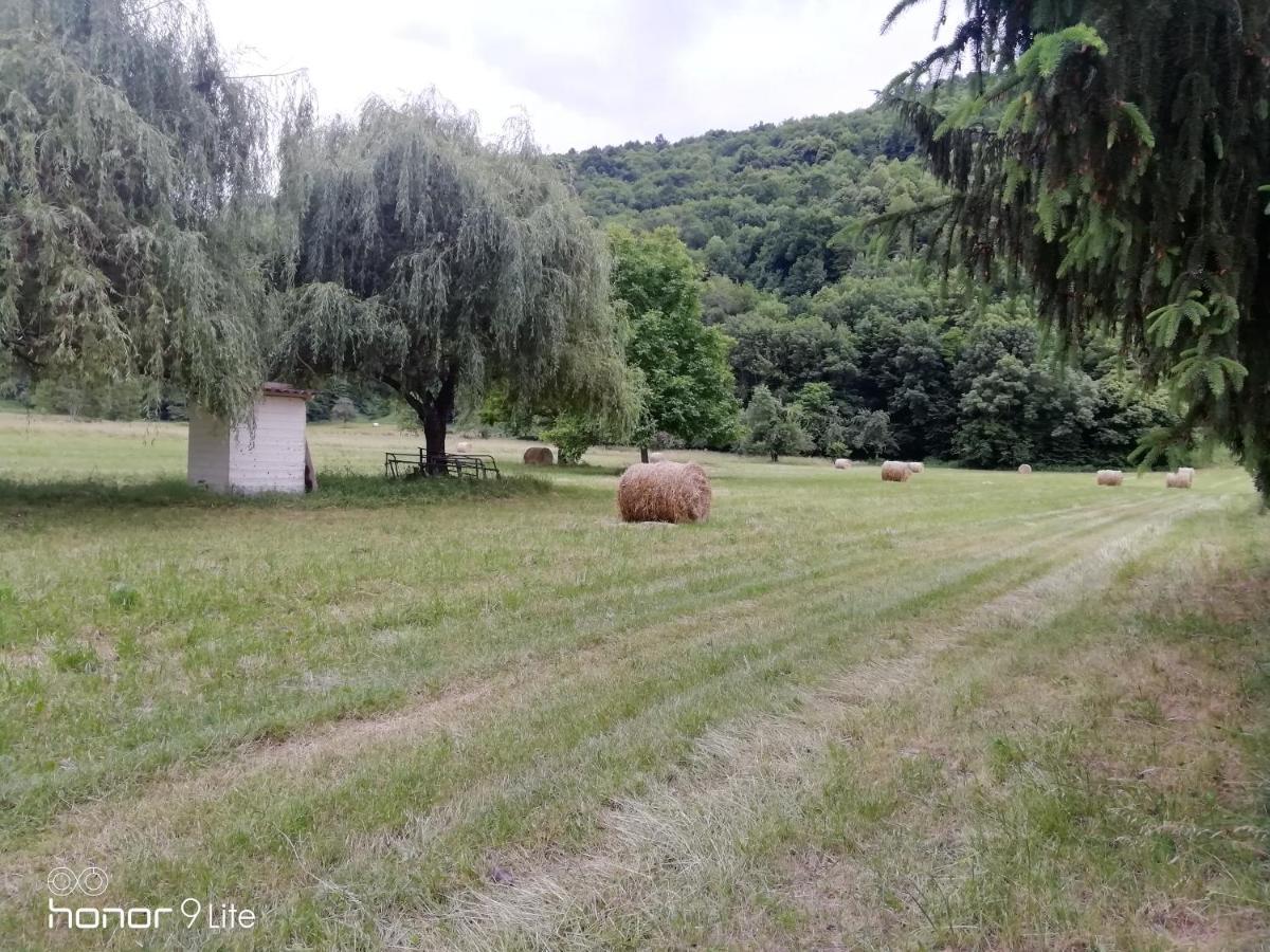 Vebre Chalet Tout Confort Proche D Ax 3 Domaines מראה חיצוני תמונה
